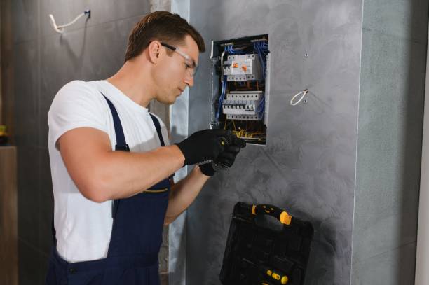 Best Home Electrical Repair  in Rogers, MN