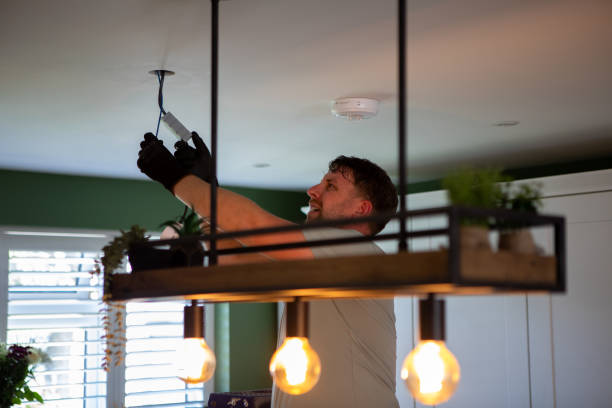 Best Electrician Near Me  in Rogers, MN